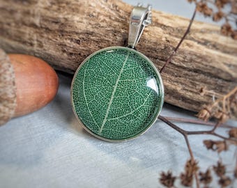 Collar de resina con vena de hoja de aligustre real, colgante botánico, hoja prensada, flor silvestre seca
