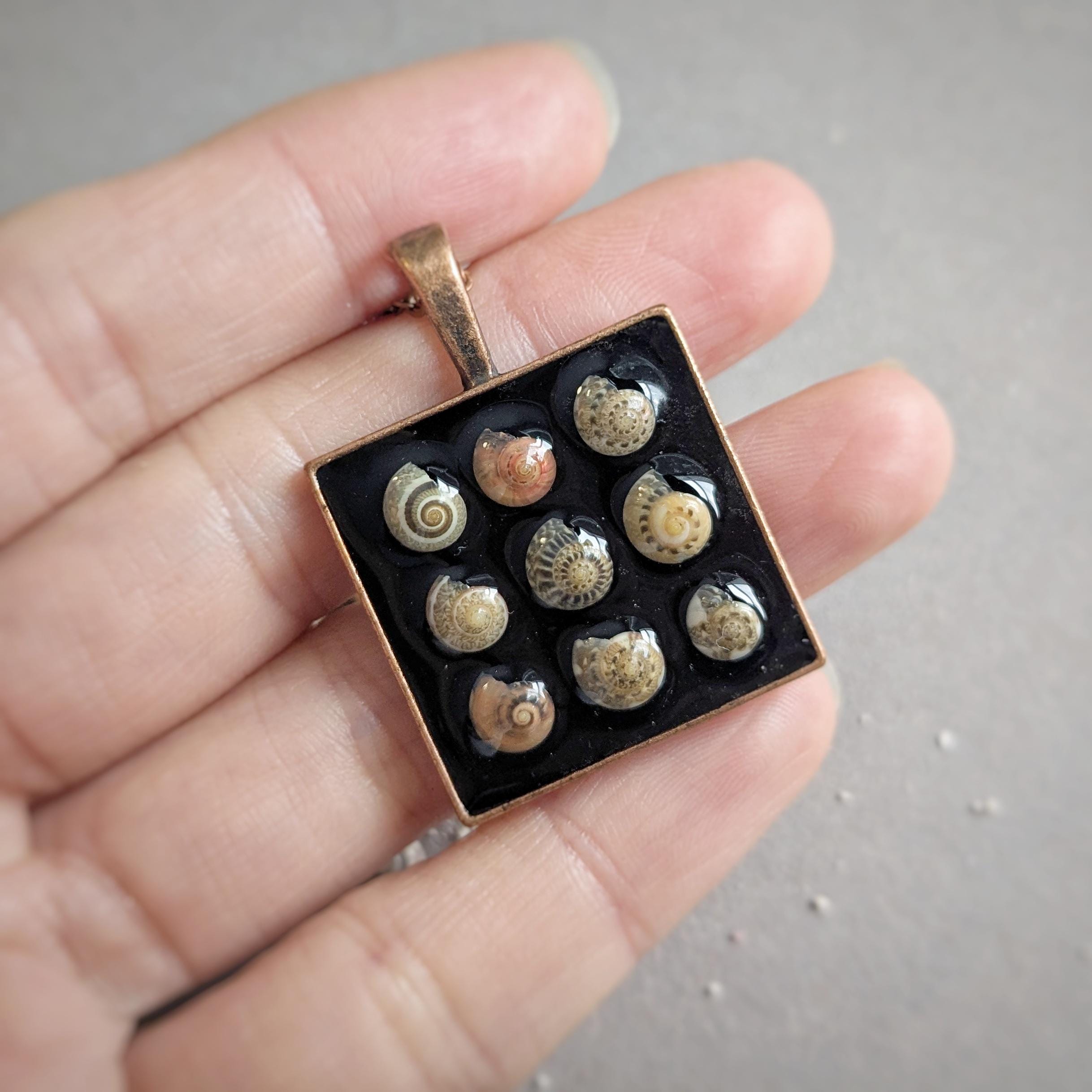 Real Mini Button Top Snail Shell Necklace, Ocean Keepsake Pendant ...