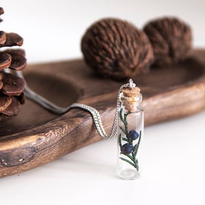 May include: A clear glass vial pendant necklace featuring a small green juniper sprig with two dark blue berries inside. The vial is sealed with a light brown cork stopper and hangs from a thin silver-toned metal chain, creating a botanical accessory.