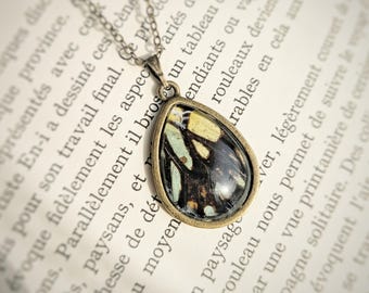 Collar de alas de mariposa tigre amarilla auténtica de origen ético con colgante de insecto de resina con forma de gota de agua.