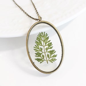 Green Fern Leaf Necklace, Real Dried Pressed Flower, Oval Resin Glass Bronze Frame, Antique Vintage, Brass Botanical, Sphenomeris, Terrarium