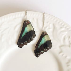 Real Butterfly Earrings, Graphium Sarpedon Earrings, Butterfly&#39;s Wing Earrings, Mori Girl Boho, real butterfly wing, Resin