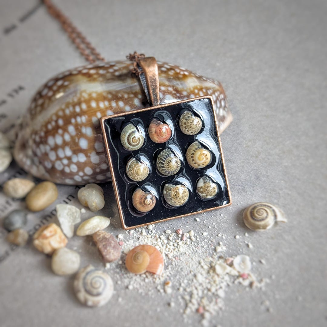 Real Mini Button Top Snail Shell Necklace, Ocean Keepsake Pendant ...