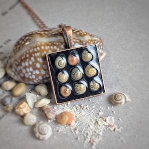 May include: A square pendant necklace with a copper-coloured frame and chain. The pendant features nine small seashells set against a black background. The shells are various shades of tan, brown, and cream. The necklace is displayed with a large seashell and small pebbles.