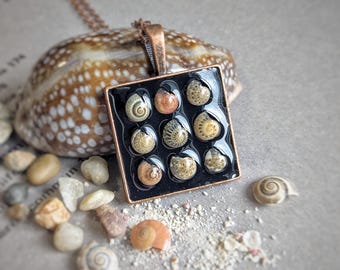 Collar de concha de caracol con botón en miniatura, colgante de recuerdo del océano, joyería de recuerdo de playa, regalo costero, collar de concha hecho a mano