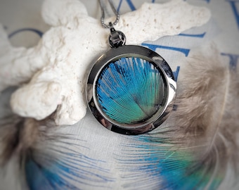 Collar con medallón de plumas de pavo real auténticas, colgante gótico victoriano