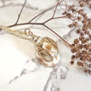 Natural Conch Necklace, Real,Babylonia Lutosa, Babylon, Lamarck, Beach, Lined with Edible Gold, Nautical, Ocean, Sea Shell