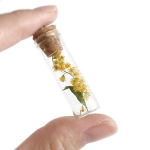 Canadian goldenrod, Mini Dried Limonium Flower Glass Bottle Necklace, Lavender, Mori Girl, Yellow, Real Flower, Terrarium