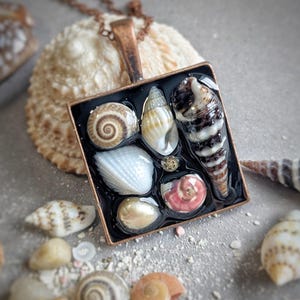 May include: Square pendant necklace with a collection of seashells set in resin. The pendant has a dark background and a copper-coloured frame. The seashells are various shapes and colours, including white, brown, and pink. The necklace has a copper-coloured chain.