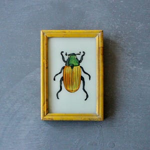 May include: A framed insect art piece. The artwork features a detailed illustration of a beetle with a green head, yellow and orange body, and black legs. The frame is a warm yellow color, and the background is a light color.