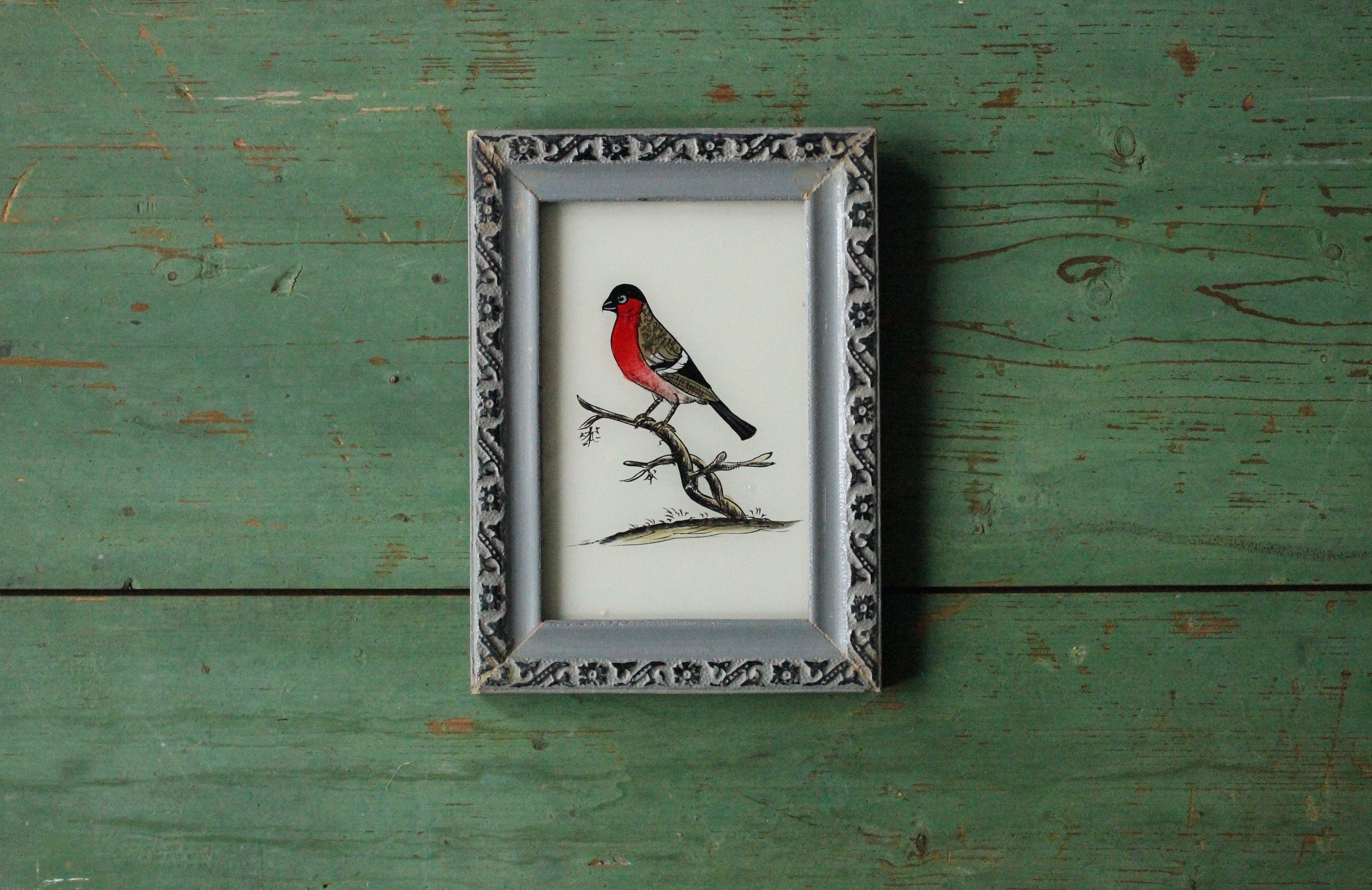 Affascinante dipinto su vetro rovesciato in stile vintage proveniente dall'arte popolare naif indiana, pappagallo dipinto a mano, cornice rustica riciclata fatta a mano 14 x 19 cm