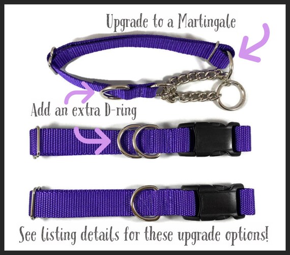 dog collar with christmas lights