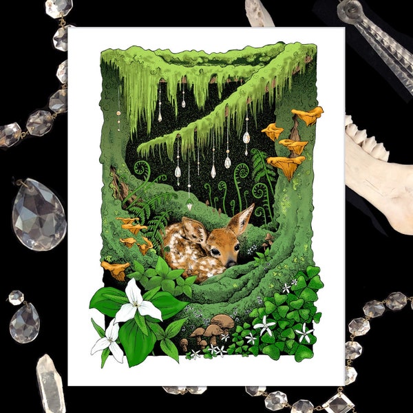 Cradle - Fawn in enchanted forest art print