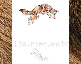 Burrow - Pen Ink and Watercolor Coyote Art Print