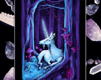 Unicorn - 8.5x11 Art Print