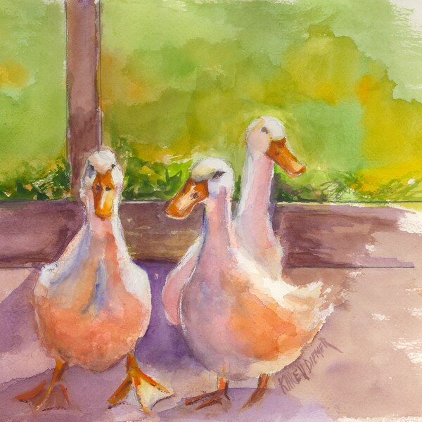 Three Ducks