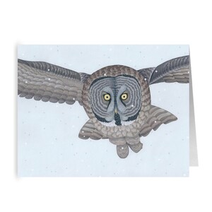 Carte de vœux pliée great gray owl