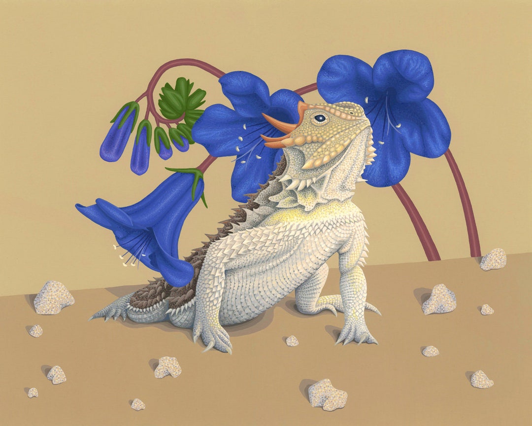 Coast Horned Lizard: Wildlife, Art, Illustration, Painting, Print - Etsy
