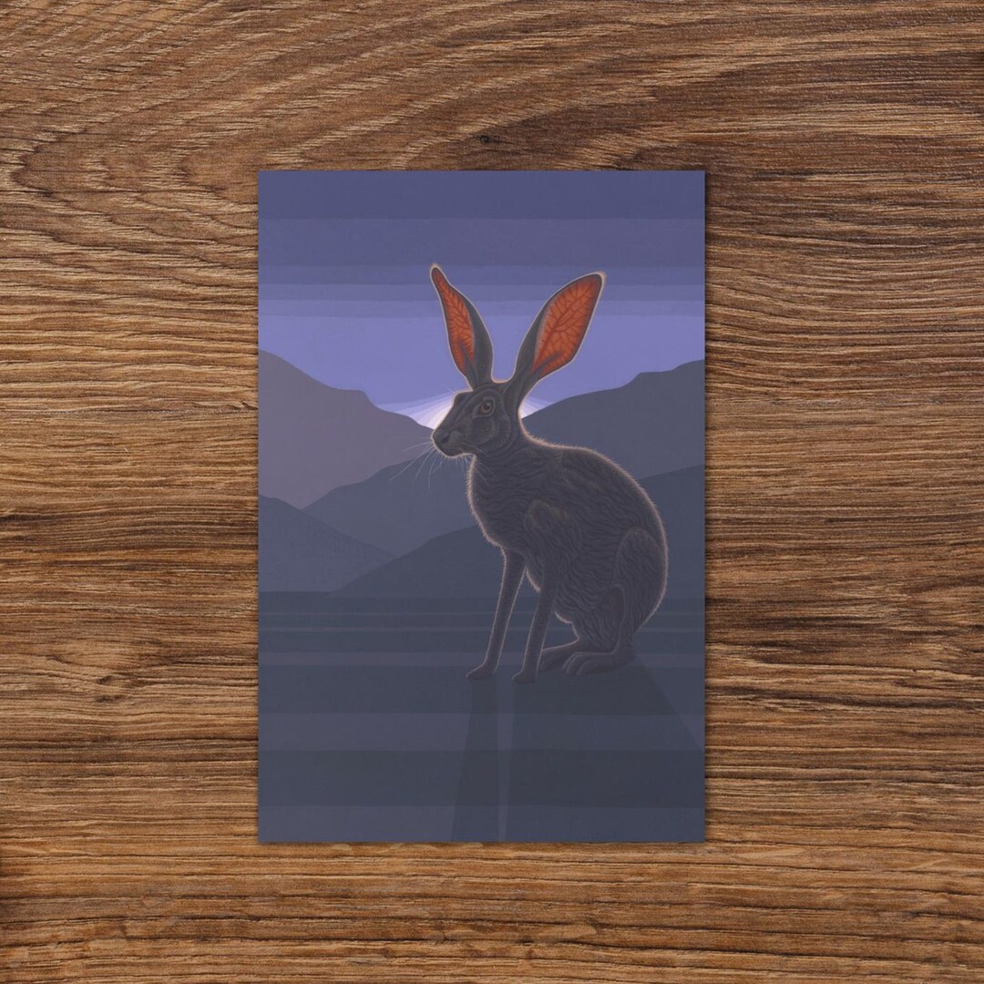 Black-tailed Jackrabbit Greeting Card - Etsy