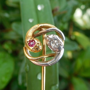Op de afbeelding: Een gouden en zilveren stropdaspin met twee in elkaar gevlochten slangen met een rode robijn en een witte diamant. De slangen kijken elkaar aan met hun koppen die elkaar raken.
