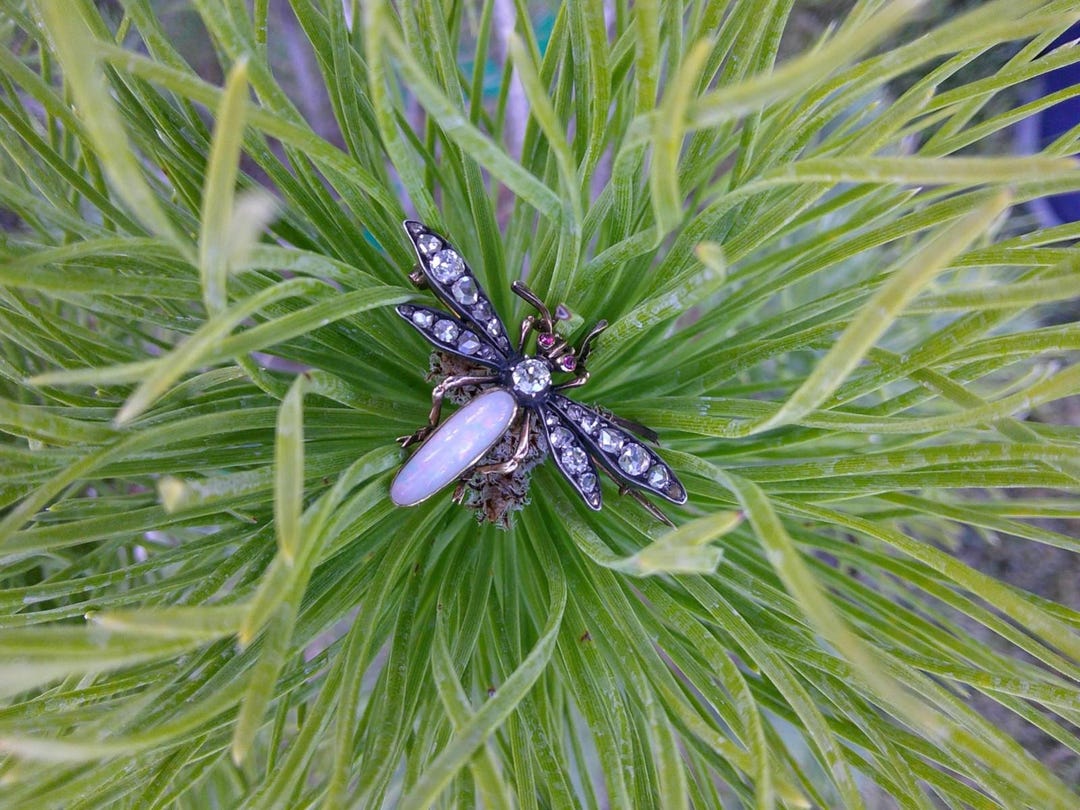 Twinkle Insects One of A Kind Authentic Original Victorian 19th Century 14K Gold Silver ...