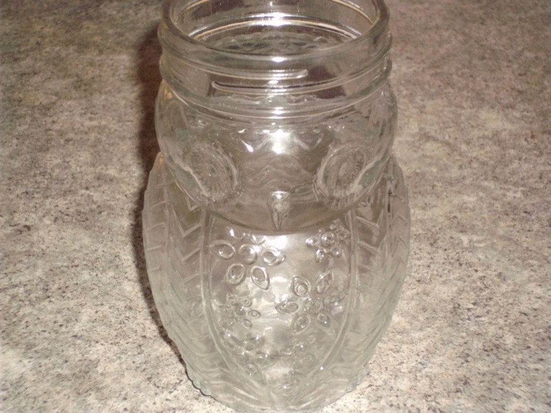 Vintage 70's Glass Owl Jar Clear Canister Etsy