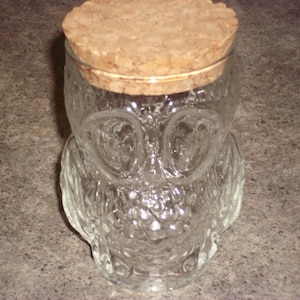 May include: A clear glass jar shaped like an owl with a cork lid. The jar has textured details and is designed to resemble an owl's face. The cork lid is round and light brown. The jar is likely used for storage.