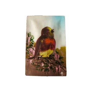 Cartão postal Squeeze Me Bird / Cartão postal Squeaking