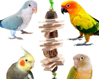 May include: A wooden bird toy with a bell hanging from the bottom. The toy is made of natural wood and has a variety of shapes and textures. Four different types of parrots are shown interacting with the toy.