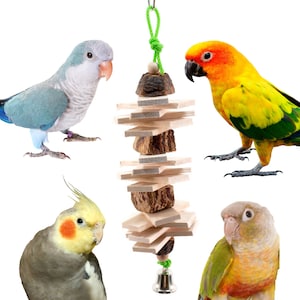 Balsa Party All Natural Bird Toy for Small Birds