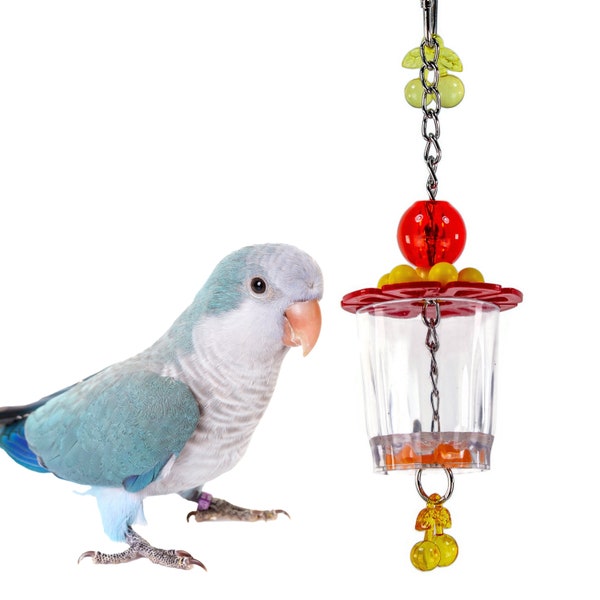 Cherry Bomb Forager Toy for Birds - Assorted Colors