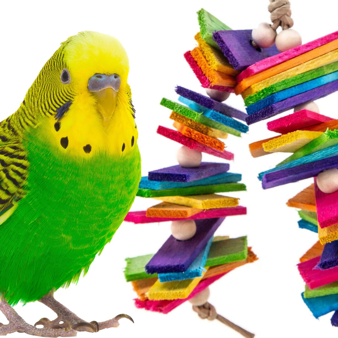 Fresh Look at Microburst Colorful Balsa Bird Toy Tiny Bites