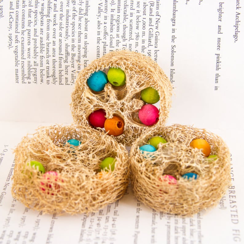 Loofah Bird Nest Bird Toys with Tropical Colored Hardwood Bead Eggs Bird Nests Foot Toys