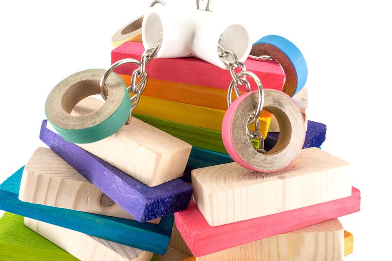 May include: A colorful wooden bird toy with multiple rings and a white plastic connector. The toy is made of natural wood and is safe for birds.
