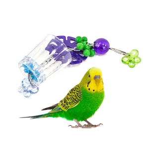Butterfly Forager Toy for Birds - Assorted Colors
