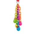 Maraca Madness - Small Bird Toy