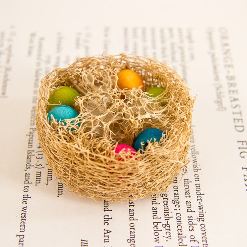 Loofah Bird Nest Bird Toys with Tropical Colored Hardwood Bead Eggs Bird Nests Foot Toys