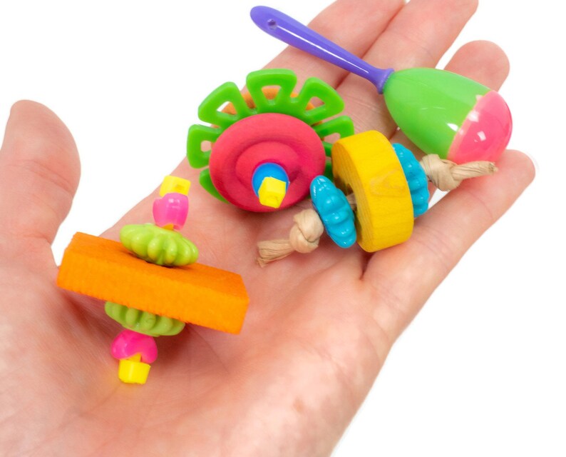 Conure Footies Jar of Foot Toys Parrot Accessories Bird Etsy