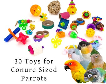 Foot toys for Small Parrots with Storage Jar