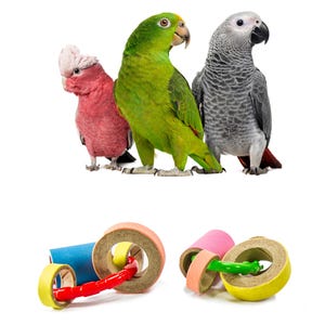 Chewsy – Set of 2 Foot Toys with Birdie Bagels for Large Parrots Bild 2