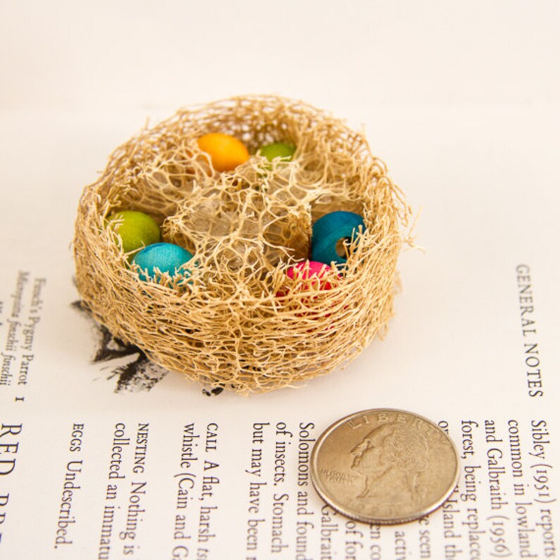 Loofah Bird Nest Bird Toys with Tropical Colored Hardwood Bead Eggs Bird Nests Foot Toys