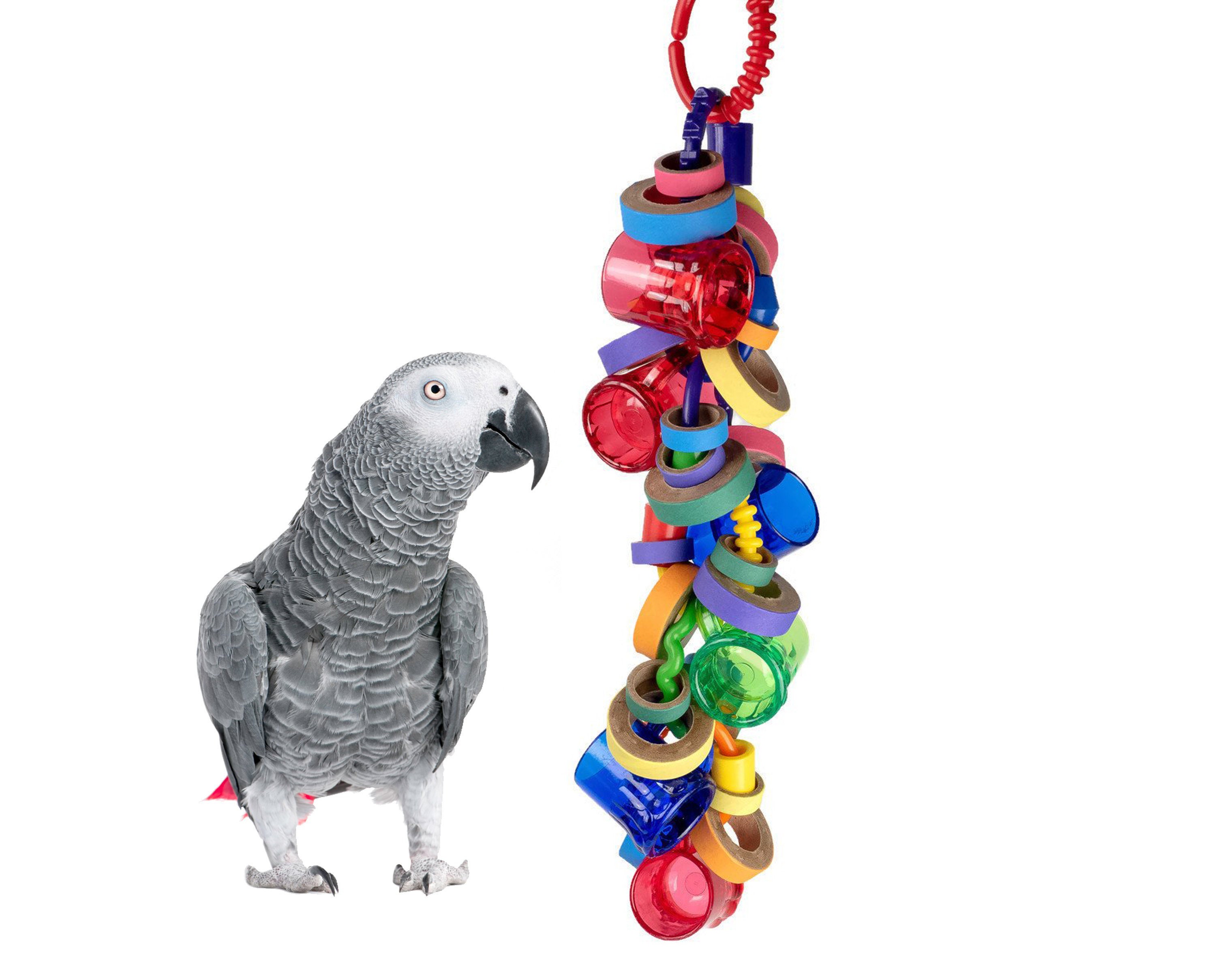 The Babysitter II - Bird Toy for Parrots, Great for African Greys, Am…