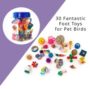 Conure Footies Jar of Foot Toys - Parrot Accessories, Bird Toys, Products for Pet Birds