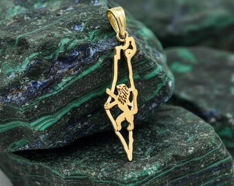 Lion of Judah on Map of Israel Pendant in 14K Gold, Israeli Lion Charm, Symbol of Courange and Support for Israel, Handmade Jewelry