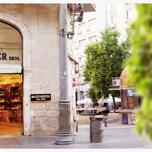 May include: A storefront with the sign "Balitnester Bros." above the entrance. The store appears to sell jewelry and other items. The storefront is located on a street with a lamppost and a tree in the background.