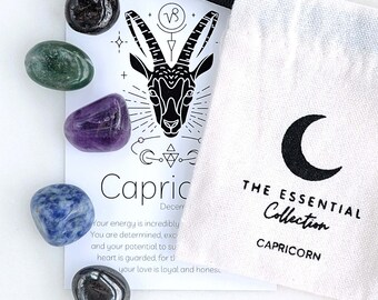 Capricorn Zodiac Crystal Kit: Tumbled Healing Stones Star Sign Gift