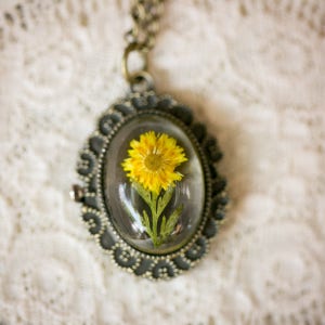 Real Flower Pocket Watch (Wild Sunflower)