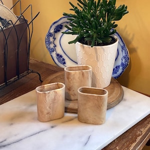 May include: A decorative arrangement featuring three small, rectangular, light-colored containers with a marbled effect. A potted green plant in a white honeycomb-patterned pot sits on a wooden surface, with blue and white plates in the background.