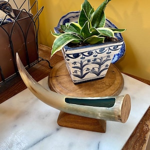 May include: A decorative horn, likely for display, with a wooden base. The horn is a light tan color with a dark green interior. A square blue and white ceramic planter with a snake plant sits on a wooden stand.