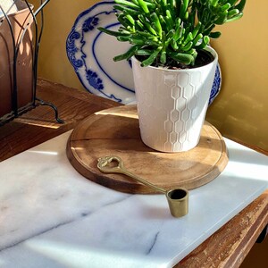 May include: A succulent plant in a white ceramic pot with a hexagonal pattern. The pot is sitting on a wooden cutting board with a brass spoon.